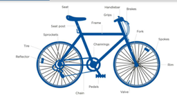 [BiBa01] Bicycle